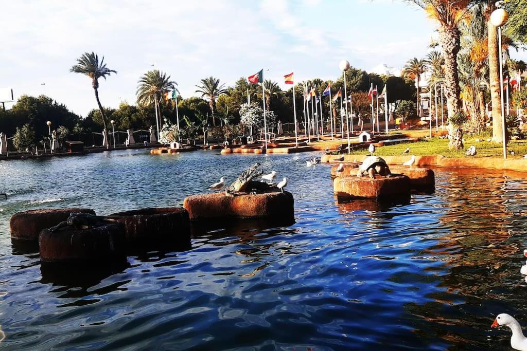トレビエハAdventure Harbourアパートメント エクステリア 写真